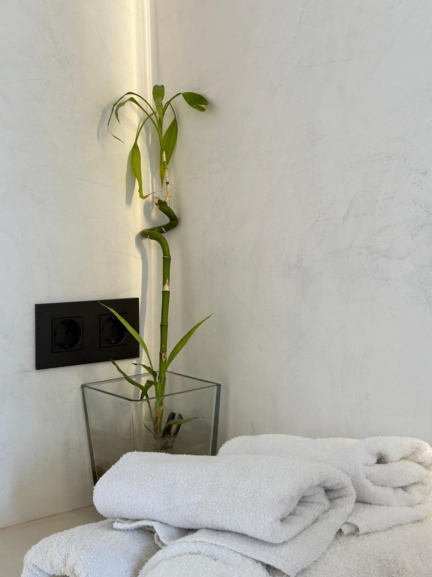 Apartmán Aba Penthouse, Piscina&Azotea Privada Conil De La Frontera Exteriér fotografie